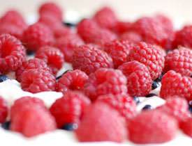 Antioxidant Supplments for Protection Against Cancer & Aging